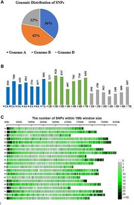 Frontiers | Genotyping-by-Sequencing Based Molecular Genetic